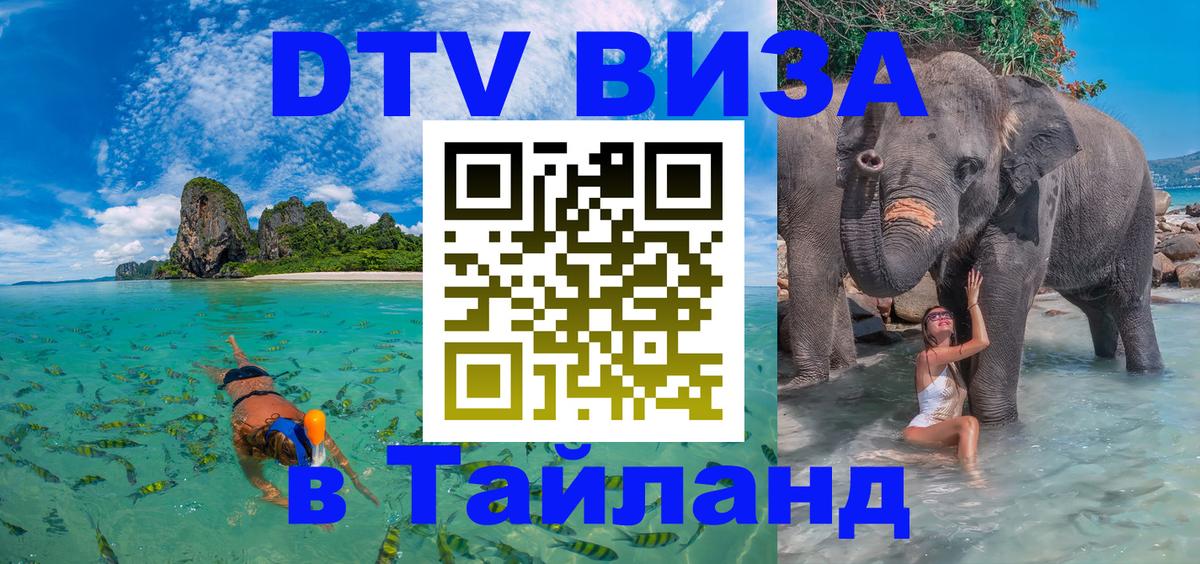 Сколько стоит DTV виза — актуальные цены, оформление даже без документов - 05.10.2025 